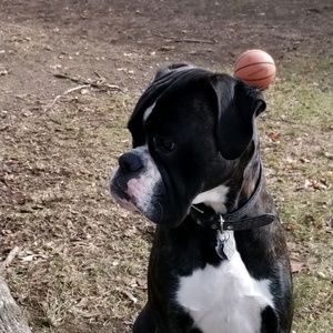 Meet your Posher, Ray